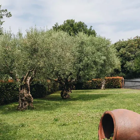 New!!! La Magrina - Bed & Breakfast 3*