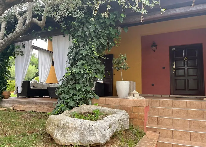 New!!! La Magrina - 브르사르